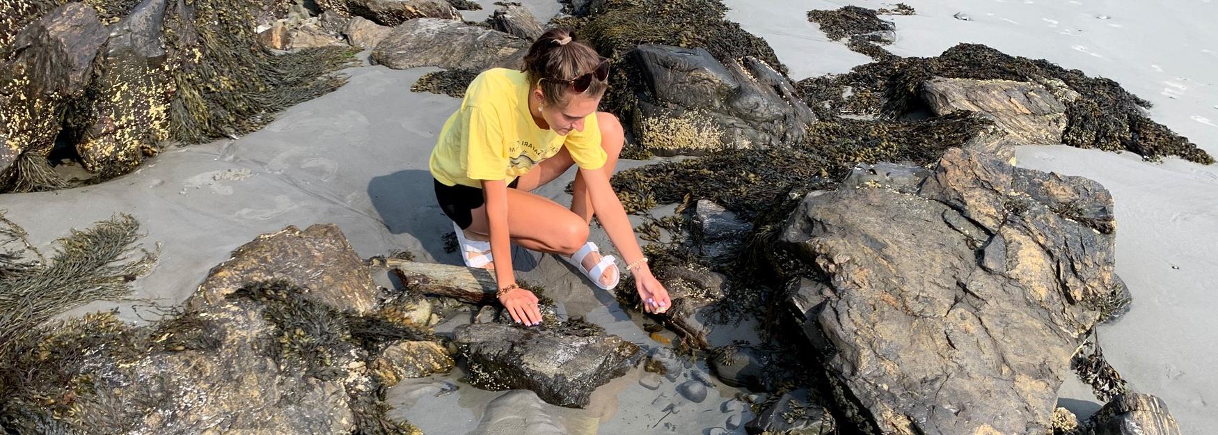 英国东北大学海洋科学专业的学生埃琳娜·希普利正在探索一个潮汐池